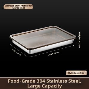 Frozen Sealed Freshness Food Storage Box