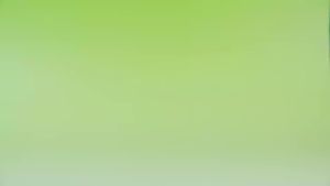 Trà trái cây hạt chia hòa tan Lúave - Sử dụng đường cỏ ngọt Stevia hạt chia hữu cơ giải khát tươi mát