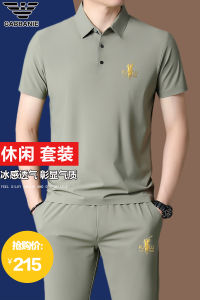 Spring Summer High End Fashion Brand Mens Sport Leisure Suit Set Silk Long Sleeve Collared Two Piece Trendy Polo Shirt And Pants