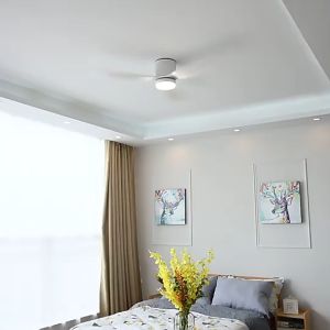 2025 NEW: Modern Ceiling Fan Light with LED & Remote Control