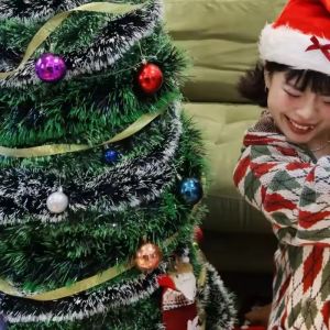 NEW 20M Green Christmas Tinsel Ribbons Xmas Tree Hanging Pendent Garland Madder Flower Ribbons Wedding Party Home Decor Wreath