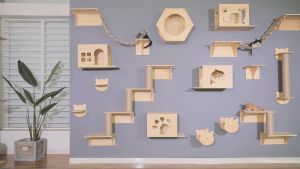 DIY Wall-Mounted Cat Playground | Solid Wood Cat House & Climbing Platform | Cat Jumping Shelves Springboard and Scratching Post | Durable Cat Tree Furniture for Indoor Play (Cat Wall Perch) DD CAT AND PET