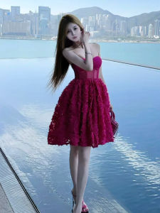 Elegant Sleeveless Tulle Dress