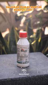 ROUNDUP 486SL HERBISIDA OBAT PEMBASMI RUMPUT LIAR & GULMA 200 ML - ROUND UP 200 ML