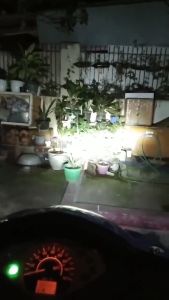 T19 LED Bulb Mentol Lampu Depan Head Lamp Light Bulb Led Motorcycle Head Lamp Light Bulb Universal Kriss EX5 125Z