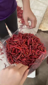 Cabe Rawit Kering super pedas 1kg/Cabe Rawit Kering Teja Japlak Asli Tanpa Tangkai