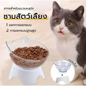 ชามอาหารสัตว์เลี้ยง ชามอาหารแมว ชามอาหารสุนัข ชามอาหารสัตว์ ชามอาหารแมว Pet bowl pvc 15 องศา ที่ใส่อาหารสัตว์เลี้ยง ชามอาหารหมา
