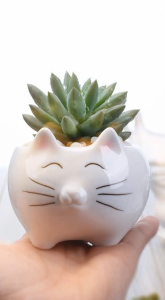 Chậu trồng sen đá xương rồng cây mini có đế lỗ thoát nước trang trí để bàn văn phòng cực xinh