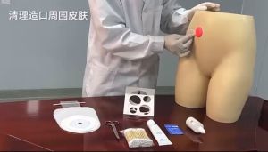 Hộp 10 Túi Hậu Môn Nhân Tạo 1 Mảnh Ostomy Bag - Túi Hậu Môn Nhân Tạo Màng Nhựa Chống Mốc Mềm Mại Không Gây Khó Chịu Cho Người Sử Dụng - Hạn Sử Dụng 3 Năm