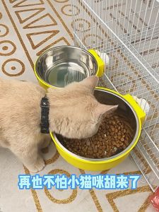 Doge&Orange พร้อมส่ง ชามอาหารสัตว์เลี้ยง ชามอาหารสัตว์แบบแขวน ชามอาหาร ชามสุนัข ชามแมว วัสดุพลาสติกPP+สแตนเลส COD MIP171