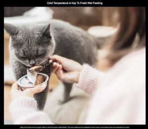 [Official Petoneer SG] Two Meal Feeder For Both Wet and Dry Food Long Battery Life For Cats & Dogs (355ML)