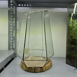 bể kính terrarium mẫu vác mặt