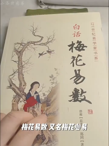 汉舟★Plum blossoms in vernacular are easy to count★Zheng Tong★9787801788764【风水 Fengshui 图书 Hzbook】华文中文Chinese Hzbook书局书店Bookstore Bookshop