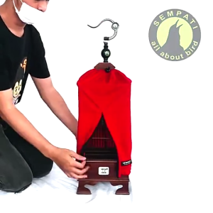 SEMPATI GROSIR Krodong Pleci Premium Single Sleting Sempati Isi 10 Kerodong Sangkar Kandang Burung Pleci Kotak Bulat