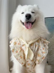 Dog Clothes 2023 New Arrival Dog Clothes Large Medium and Small Dogs Samo Husky Floral Skirt Princess Style Dog