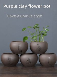 Copper Money Grass Water To Raise Green Dill Desktop Hydroponic Desk Purple Sand Flowerpot Ceramic Size Flowerpot Non-porous Special Utensils Without Plants