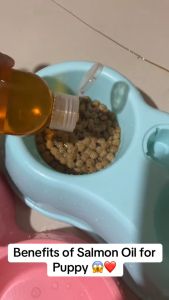 Virgin Coconut Oil & Furboost Pure Salmon Fish Oil: A Comprehensive Guide