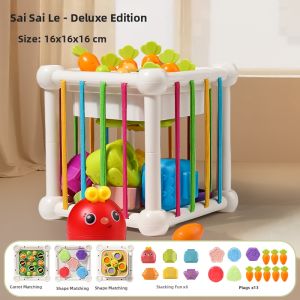 Causal Relationship and Shape Matching Toddler Toy
