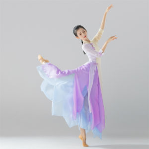 Elegant Ethnic Dance Costume Womens Shawl Classical Dance Practice Uniform Skirt-like Design Summer New Arrival Chiffon Material