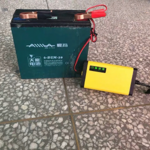 Universal Electric Vehicle Charger
