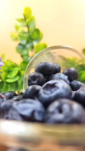 ผงบลูเบอร์รี่ บลูเบอรี่ Blueberry Powder ขนาด 100 กรัม