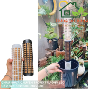 Chậu nhựa và trụ ống leo nhựa PVC cứng cáp hàng Việt Nam chất lượng cao chuyên trồng cây cây leo ( xem trong mô tả )