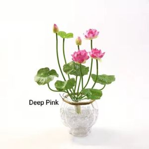 Promo 11.11 benih biji teratai lotus mix warna 100 butir