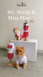 Mr. Micky & Miss Minny - Baju Kucing dan Baju Anjing POMAPOO Premium Berkualitas