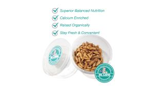 Dr. Larva (100 250G) — BSFL / Live Phoenix Worms Food & Feeders for Reptiles Bearded Dragons Gecko Sugar Gliders Hedgehogs & More