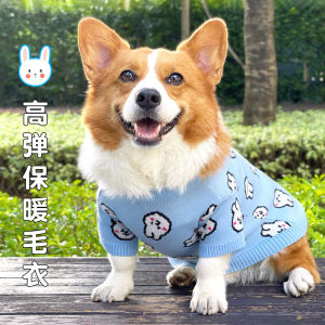 Arnold Pet Winter Sweater for Medium And Small Dogs Bichon Schnauzer Puppy Clothes Casual Style Dog Sweater Pet Apparel