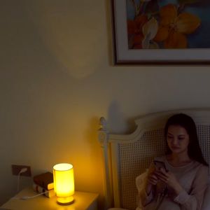 โคมไฟ โคมไฟตั้งโต๊ะ โคมไฟข้างเตียงที่เรียบง่ายทันสมัยนอร์ดิกห้องนอน ไม้เนื้อแข็ง แสงอบอุ่นLED แบบมินิมอ