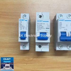 CHINT 2 POLE10A-100A MINIATURE CIRCUIT BREAKER 1POLE AND 2POLE Earth Leakage Circuit Breakers With Leakage Protection