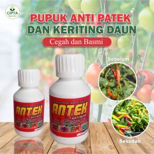 FUNGISIDA ANTEK ( BELI 3 GRATIS 1 ) PLUS ANTI  JAMUR PATEK  ANTI KERITING DAUN