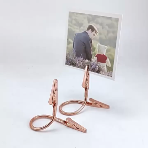 10pcs Double-Headed Crocodile Clip / Metal Price Tag Label Clip / DIY Photo Display Clamp / Rotatable Universal Clip