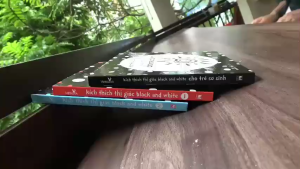 Sách trang cứng Kích thích thị giác black and white - Lật mở zigzag Vizibook dành cho trẻ 0 1 tuổi