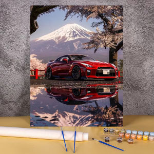 BILIBILI | Acrylic Paint By Numbers Red Sports Car  Painting By Numbers on Canvas Coloring By Number for Adults Paint Digital Art