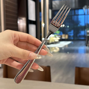 Boss Ladys Personal Use Main Course Fork 18/10 Stainless Steel Salad Dessert Pasta Fork Luxury Quality Western Dining Utensil