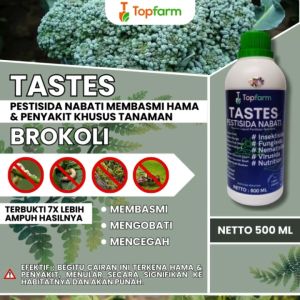 Obat Penyubur & Pestisida Brokoli: Solusi Terbaik