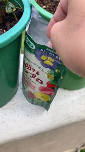 ปุ๋ย+ยากำจัดแมลง Hyponex MagAmD สูตรฟอสฟอรัสสูง แมกนีเซี่ยม ผสมไดโนทีฟูแรน สำหรับไม้ดอก พืชผักผลไม้