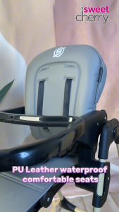 Sweet Cherry Premium Multi-Functional Baby Dining Chair with 6 Height Adjustment C1 Bruno Baby High Chair