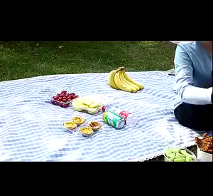 MLADEN Portable USB Fly Catcher Automatic Fly Repellent Fan 360° Rotation Mosquito Insect Repeller Blade Table Fan Anti Insect