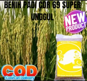 Benih padi UNGGUL CDR 69 ORIAN TERBARU kemasan 1kg