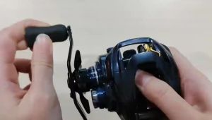 DAIWA 2021 STEEZ A TW HLC BAITCASTING (BC) REEL