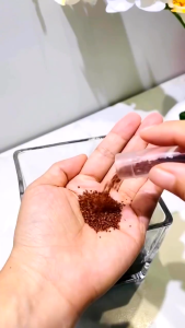 เมล็ดไม้น้ำ ปลูกตกแต่งตู้ปลา ดินไม้น้ำ ไม่ต้องใช้co2 มี8ชนิด 5กรัม/ซอง เมล็ดไม้น้ำ ตู้ปลา