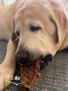 ขนมขัดฟันสัตว์เลี้ยง ขนมหมา ซี่โครงวัวอบแห้ง หอมอร่อย มีเนื้อติด ขนาด1แท่ง15cm.