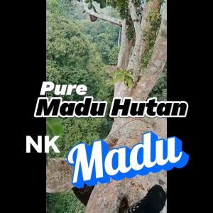 Madu Hutan Liar Asli Sumbawa Murni Isi 250 ML