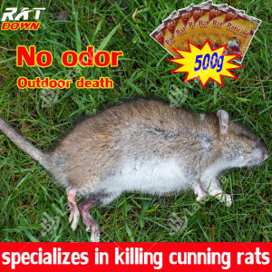 specializes in killing cunning rats rat killer poison Outdoor death no odor mouse trap daga sa big lason pellet food ng mice powder bait mabisang dora spray pang rats home smallrepellentcatcherpamatay gluebahaypelletskillingkellerakitapestcontrolsticky