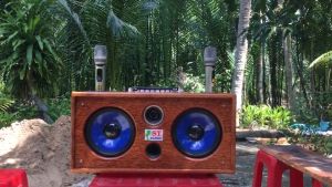 Loa karaoke gỗ dừa xách tay bluetooth công suất lớn