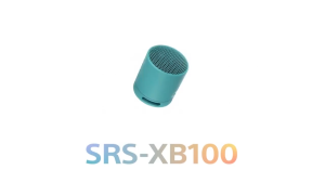 SRS-XB100 Mini Bluetooth Speaker Series Cnnection Waterproof Built-in Microphone Portable Speaker Subwoofer With Strap USB Speaker Boomboxes Type-C