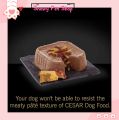 Cesar Dog Tray 100g Dog Wet Food  Dog Food Wet Meat 85g / 100g. 